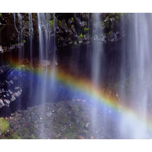 WA, Mount Rainer NP Rainbow at a waterfall